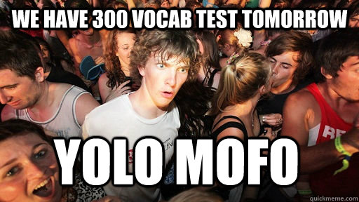 WE HAVE 300 VOCAB TEST TOMORROW YOLO MOFO  Sudden Clarity Clarence