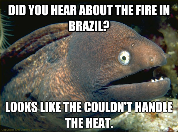 Did you hear about the fire in Brazil? Looks like the couldn't handle the heat. Caption 3 goes here Caption 4 goes here  Bad Joke Eel