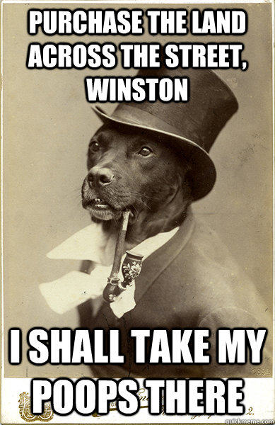 Purchase the land across the street, Winston I shall take my poops there  Old Money Dog