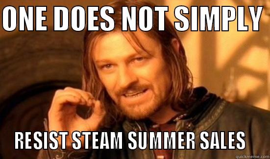 ONE DOES NOT SIMPLY  RESIST STEAM SUMMER SALES   Boromir