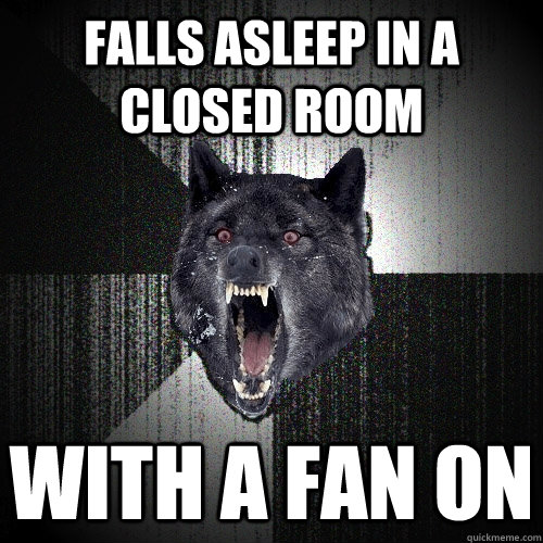FALLS ASLEEP IN A CLOSED ROOM WITH A FAN ON  Insanity Wolf