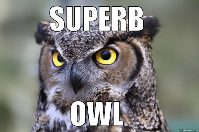 SUPERB OWL Misc