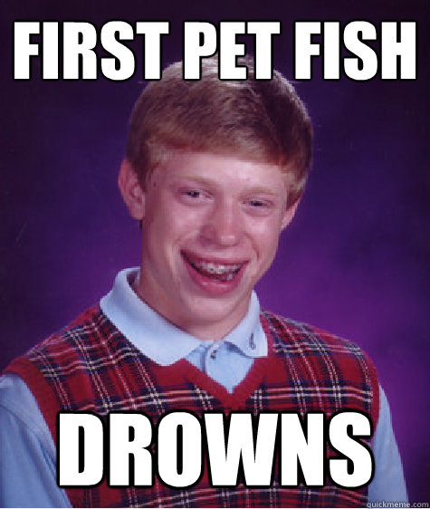 first pet fish drowns - first pet fish drowns  Misc