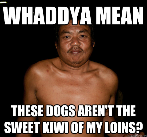 Whaddya mean these dogs aren't the sweet kiwi of my loins? - Whaddya mean these dogs aren't the sweet kiwi of my loins?  Socially Awkward Thai Guy