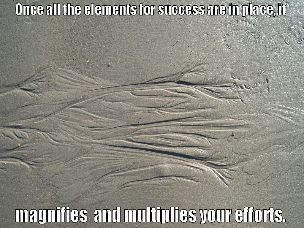 ONCE ALL THE ELEMENTS FOR SUCCESS ARE IN PLACE, IT MAGNIFIES  AND MULTIPLIES YOUR EFFORTS. Misc