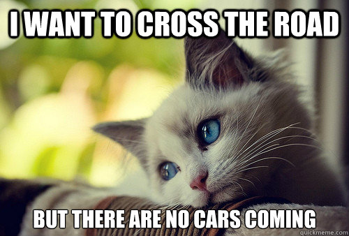I want to cross the road But there are no cars coming  First World Problems Cat