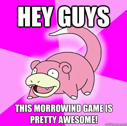 Hey guys This Morrowind game is pretty awesome!  Slowpoke