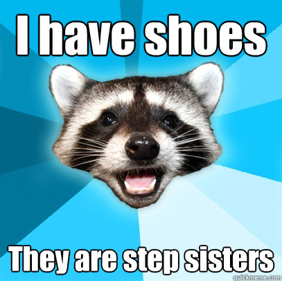 I have shoes They are step sisters  Lame Pun Coon