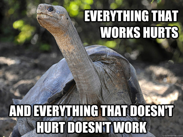 Everything that works hurts and everything that doesn't hurt doesn't work  Old Age Problem Turtle