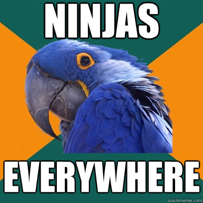 Ninjas everywhere  Paranoid Parrot