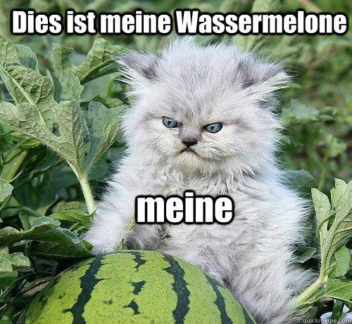 Dies ist meine Wassermelone  meine  - Dies ist meine Wassermelone  meine   German Kitty