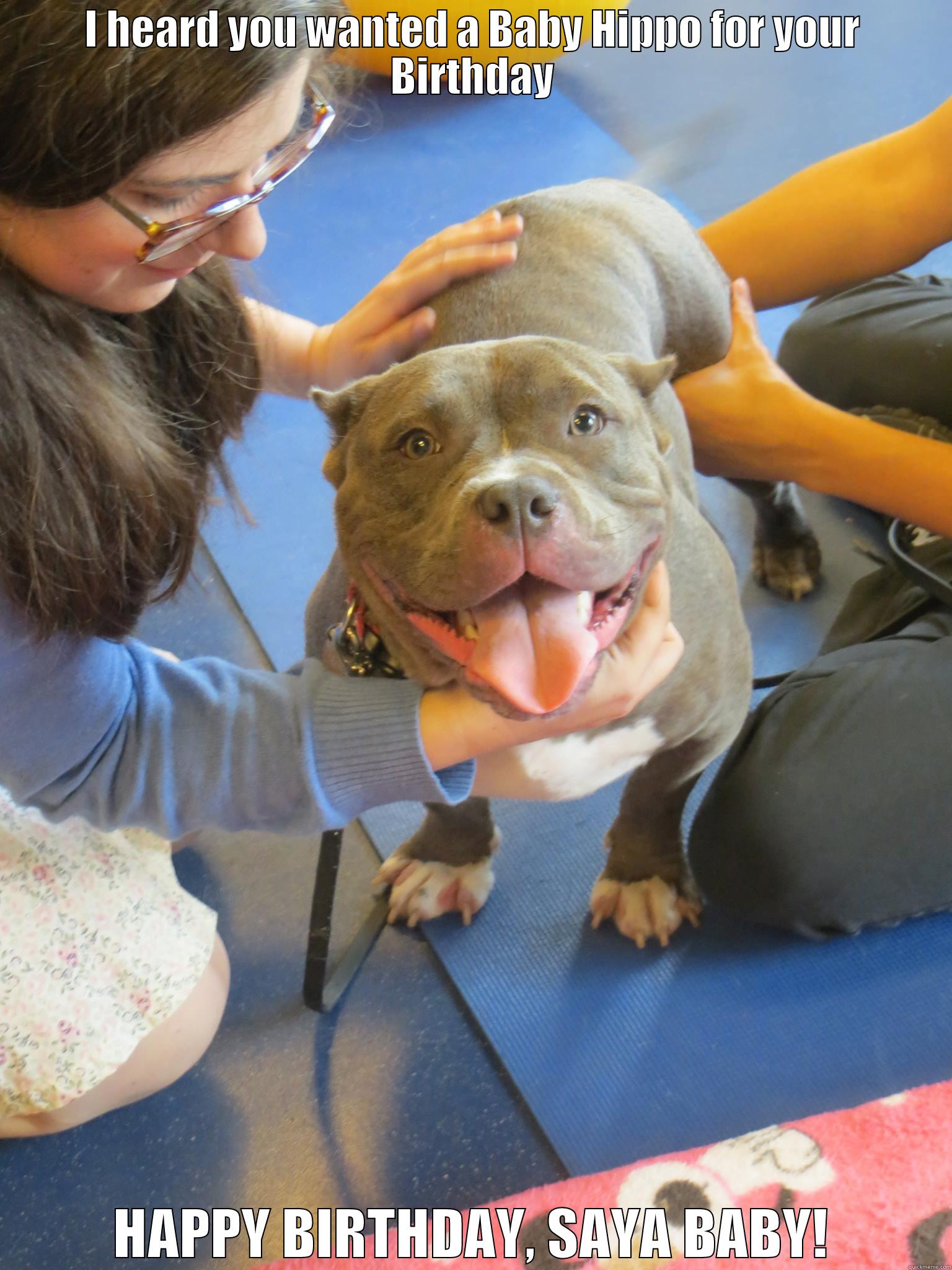 I HEARD YOU WANTED A BABY HIPPO FOR YOUR BIRTHDAY HAPPY BIRTHDAY, SAYA BABY! Misc