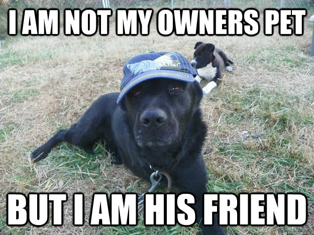 i am not my owners pet but i am his friend  - i am not my owners pet but i am his friend   1300 doller dog