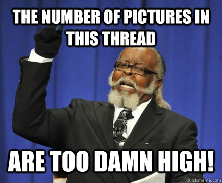 The number of pictures in this thread ARE TOO DAMN HIGH!  Too Damn High