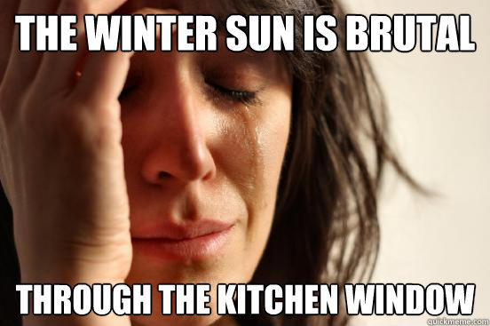 the winter sun is brutal through the kitchen window  First World Problems