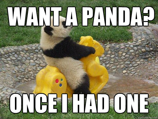 want a panda? Once i had one  