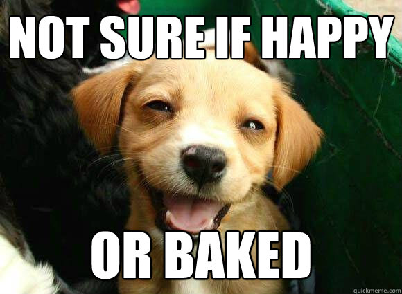 Not sure if happy or baked  