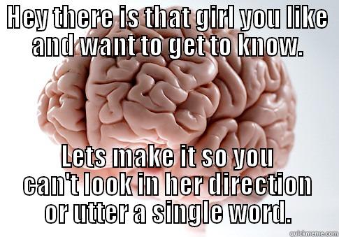 HEY THERE IS THAT GIRL YOU LIKE AND WANT TO GET TO KNOW. LETS MAKE IT SO YOU CAN'T LOOK IN HER DIRECTION OR UTTER A SINGLE WORD. Scumbag Brain