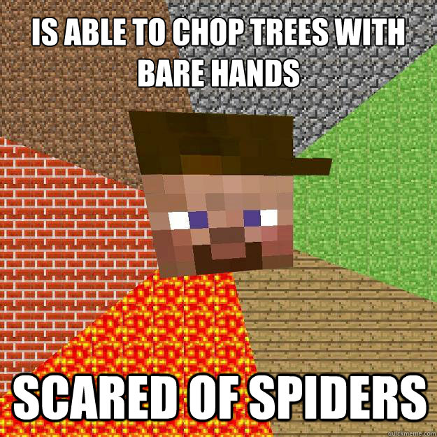 Is able to chop trees with bare hands scared of spiders  Scumbag minecraft
