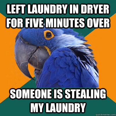 left laundry in dryer for five minutes over someone is stealing my laundry  Paranoid Parrot
