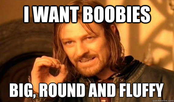 I WANT BOOBIES BIG, ROUND AND FLUFFY  One Does Not Simply
