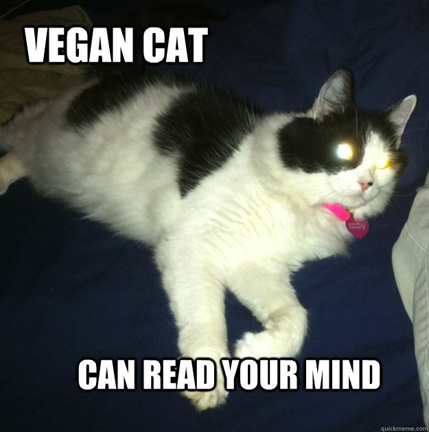 Vegan Cat can read your mind  Vegan Cat