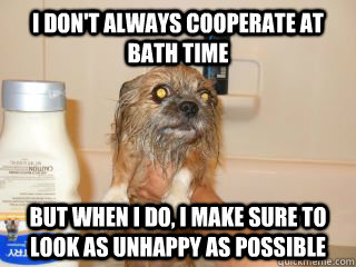I don't always cooperate at bath time but when i do, i make sure to look as unhappy as possible  Wet dog