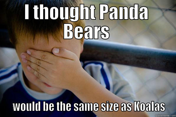 I THOUGHT PANDA BEARS   WOULD BE THE SAME SIZE AS KOALAS Confession kid