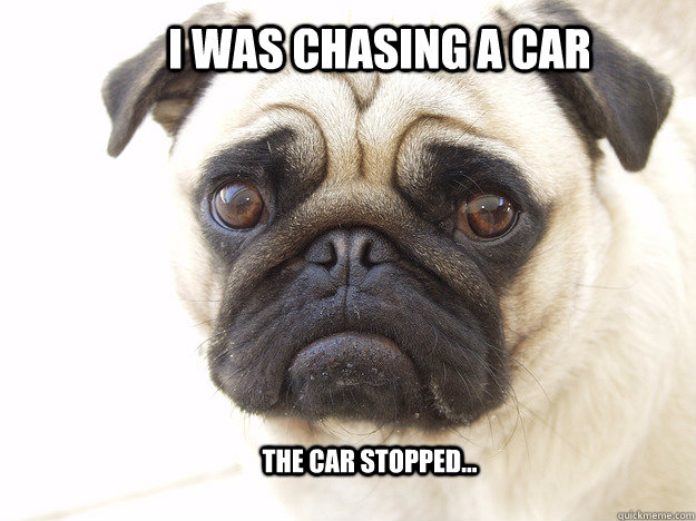 I was chasing a car The car stopped...  