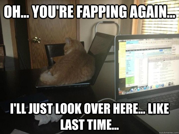 Oh... You're fapping again... I'll just look over here... Like last time...  