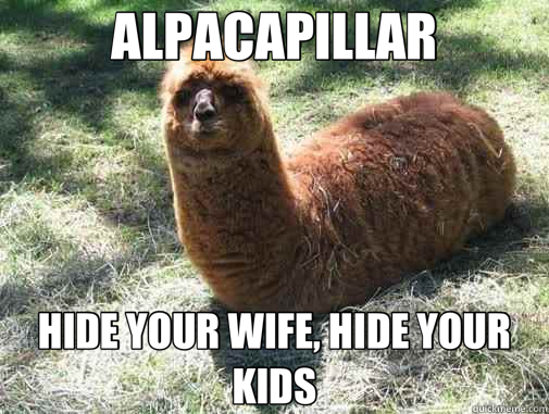 ALPACAPILLAR HIDE YOUR WIFE, HIDE YOUR KIDS  Alpacapillar
