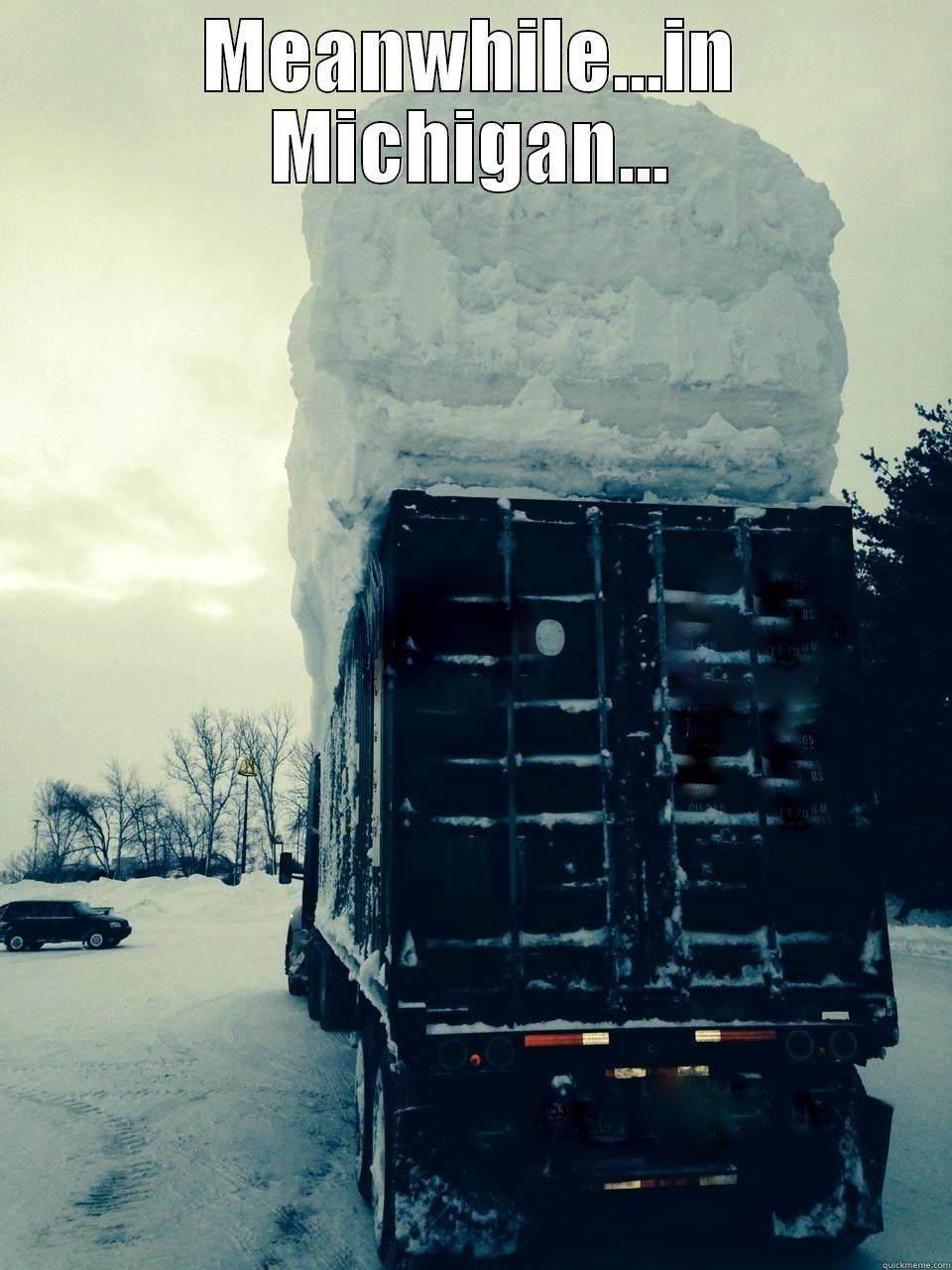 Meanwhile...in Michigan - MEANWHILE...IN MICHIGAN...  Misc