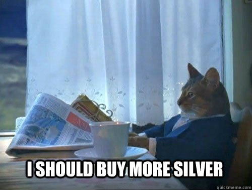 I should buy more silver - I should buy more silver  Fancy Cat