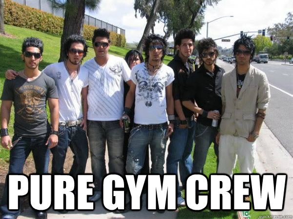  pure gym crew  -  pure gym crew   Iranian Guys at York University