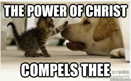 the power of christ  compels thee - the power of christ  compels thee  Faith healing cat