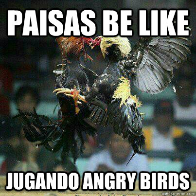 Paisas Be Like Jugando angry birds - Paisas Be Like Jugando angry birds  Jugando Angry Birds
