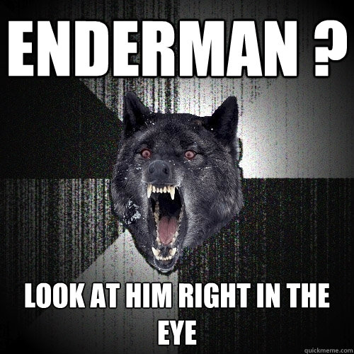 ENDERMAN ? look at him right in the eye  Insanity Wolf