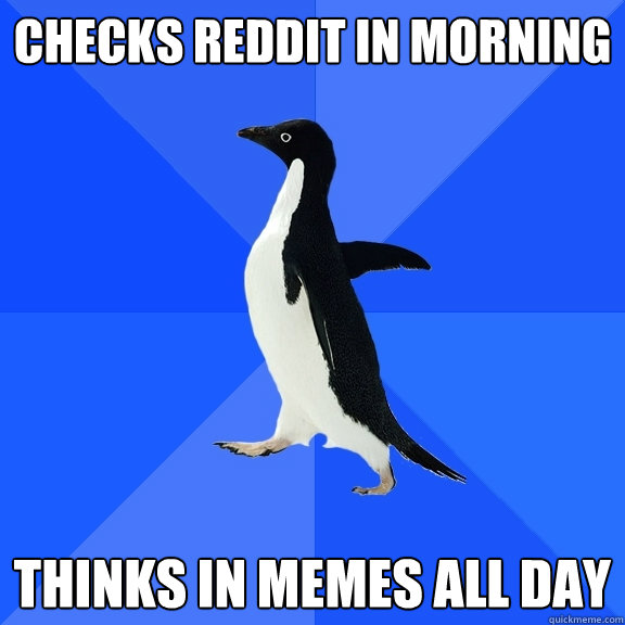 Checks reddit in morning thinks in memes all day  Socially Awkward Penguin