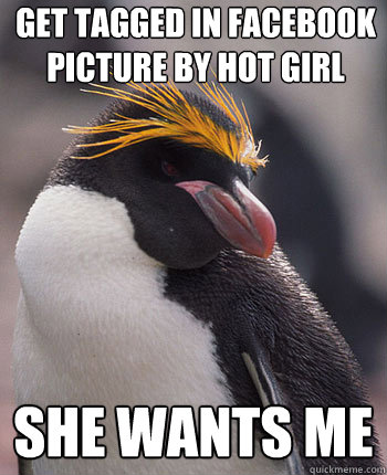 Get tagged in facebook picture by hot girl She wants me  Socially Overconfident Penguin