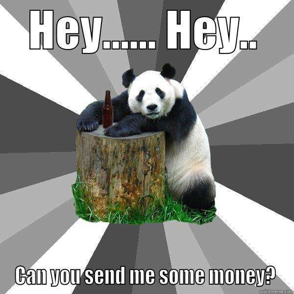 HEY...... HEY.. CAN YOU SEND ME SOME MONEY? Pickup-Line Panda