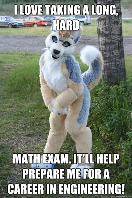 I love taking a long, hard Math exam. It'll help prepare me for a career in engineering!  Misunderstood furry
