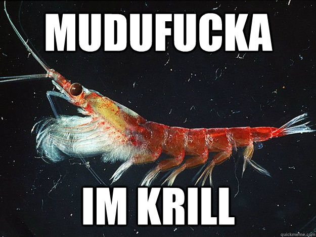 Mudufucka im Krill  Gangster Rap Krill