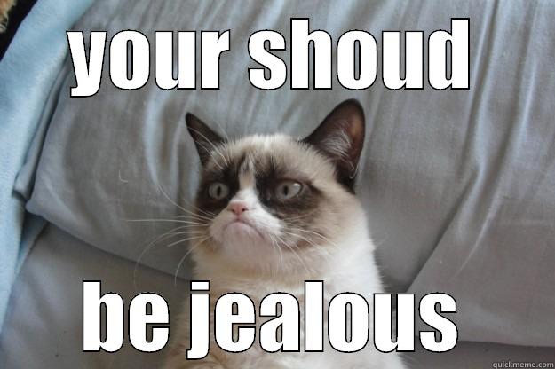 YOUR SHOUD BE JEALOUS Grumpy Cat