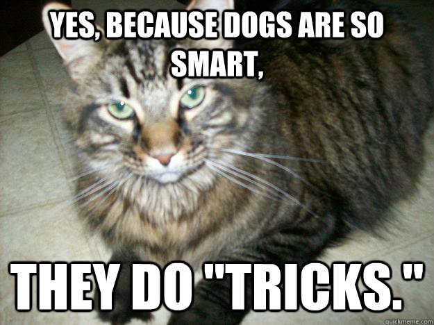 Yes, because dogs are so smart, They do 