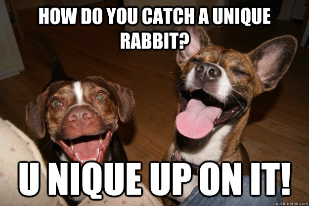 How do you catch a unique rabbit? U nique up on it! - How do you catch a unique rabbit? U nique up on it!  Clean Joke Puppies