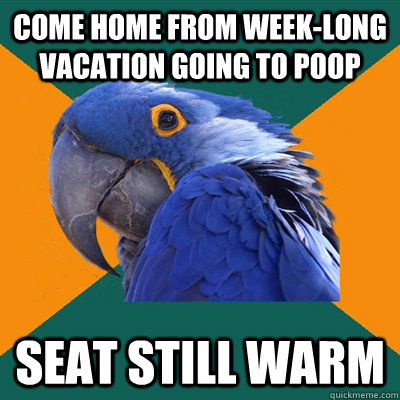 come home from week-long vacation going to poop seat still warm  Paranoid Parrot