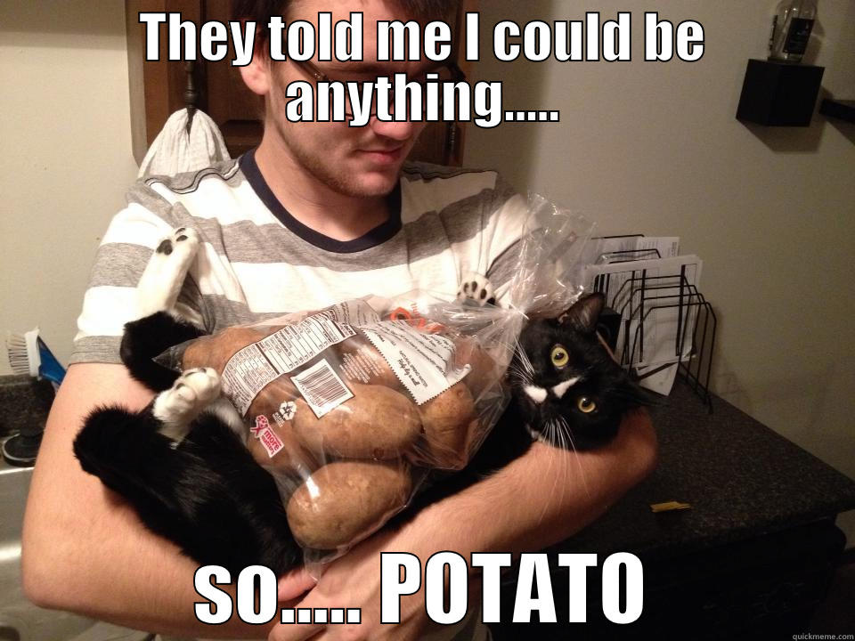 THEY TOLD ME I COULD BE ANYTHING..... SO..... POTATO Misc