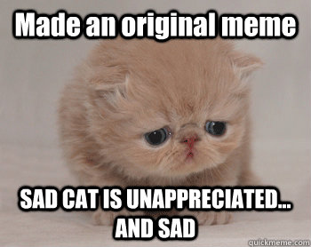 Made an original meme SAD CAT IS UNAPPRECIATED... AND SAD - Made an original meme SAD CAT IS UNAPPRECIATED... AND SAD  Misc