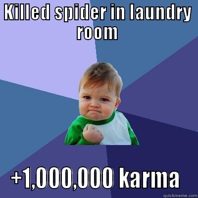 KILLED SPIDER IN LAUNDRY ROOM +1,000,000 KARMA  Success Kid