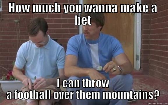 HOW MUCH YOU WANNA MAKE A BET I CAN THROW A FOOTBALL OVER THEM MOUNTAINS? Misc